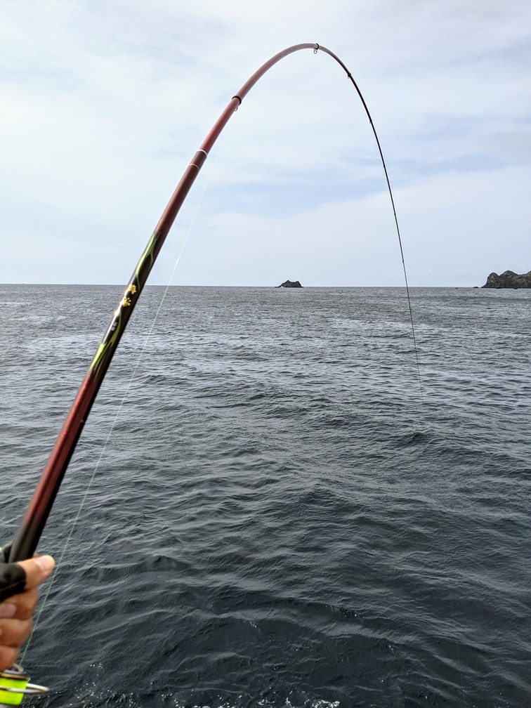 21波濤1.5-53 実釣インプレッション │ 冒険したい釣り人